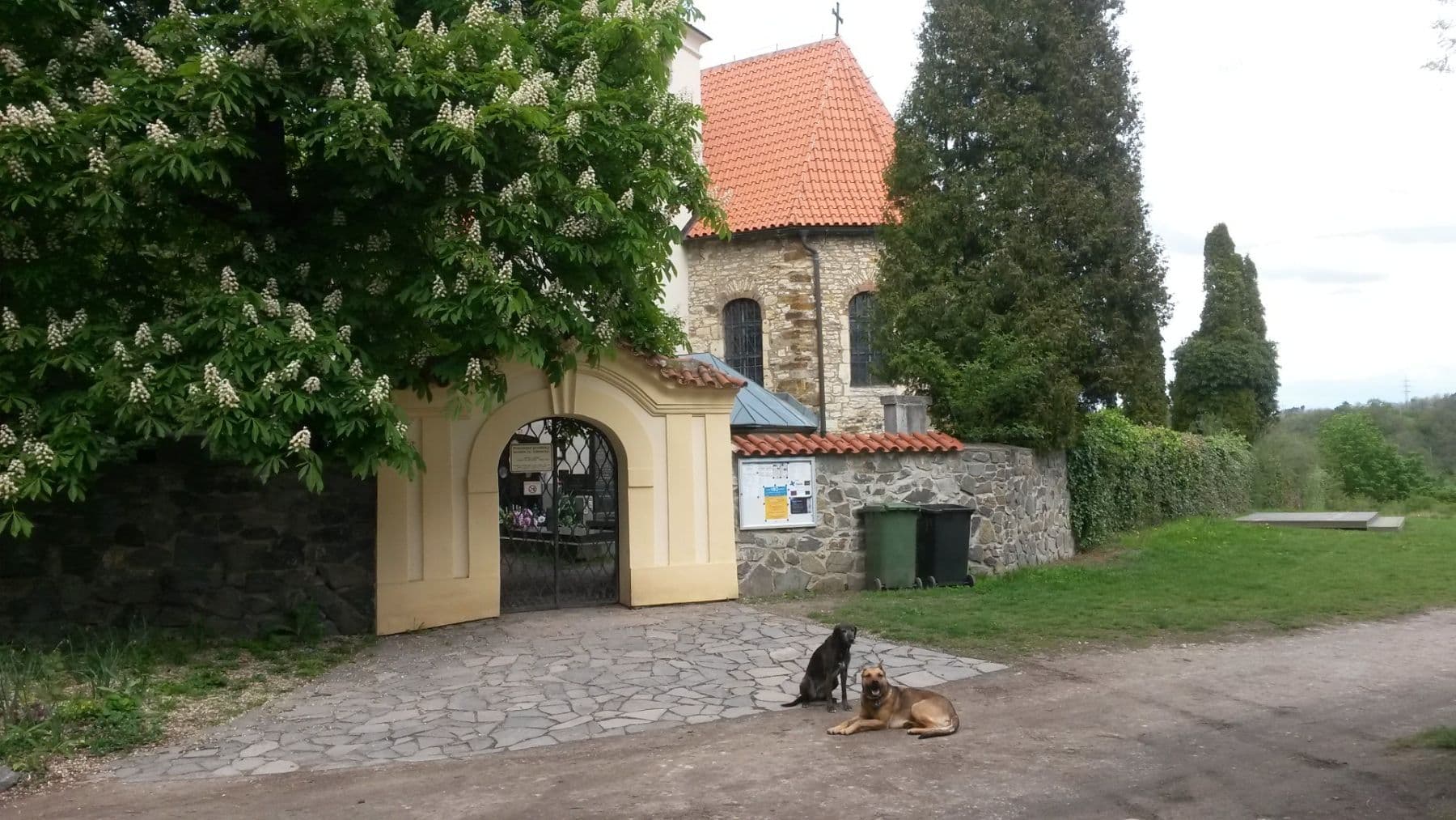 recreational property to rent, 1,800 m², Levohradecká, Roztoky, Středočeský Region recreational property to rent, 1,800 m², Levohradecká, Roztoky, Středočeský Region