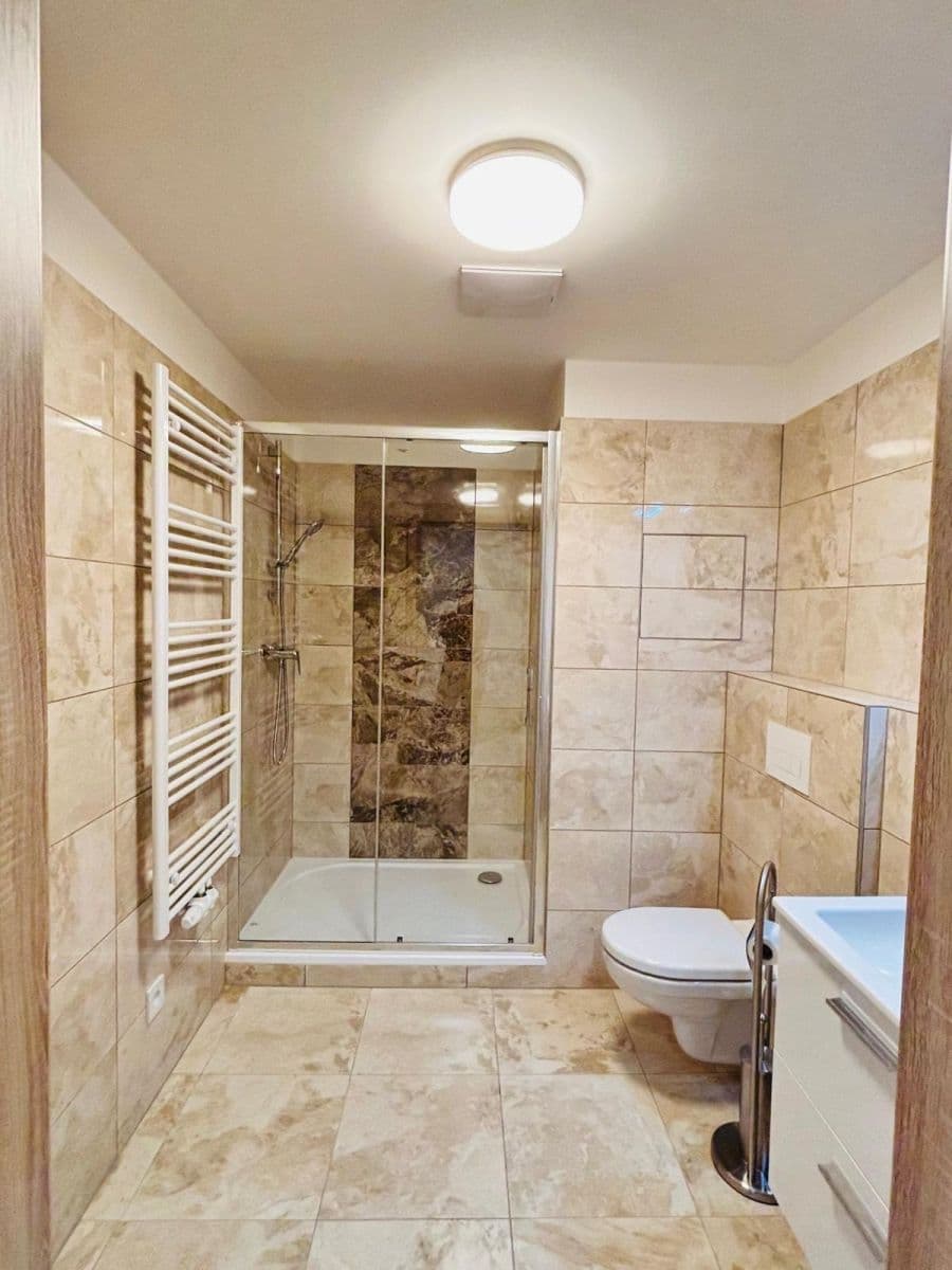 1 bedroom with open-plan kitchen flat to rent, 44 m², Fabiánové, Prague, Prague 1 bedroom with open-plan kitchen flat to rent, 44 m², Fabiánové, Prague, Prague