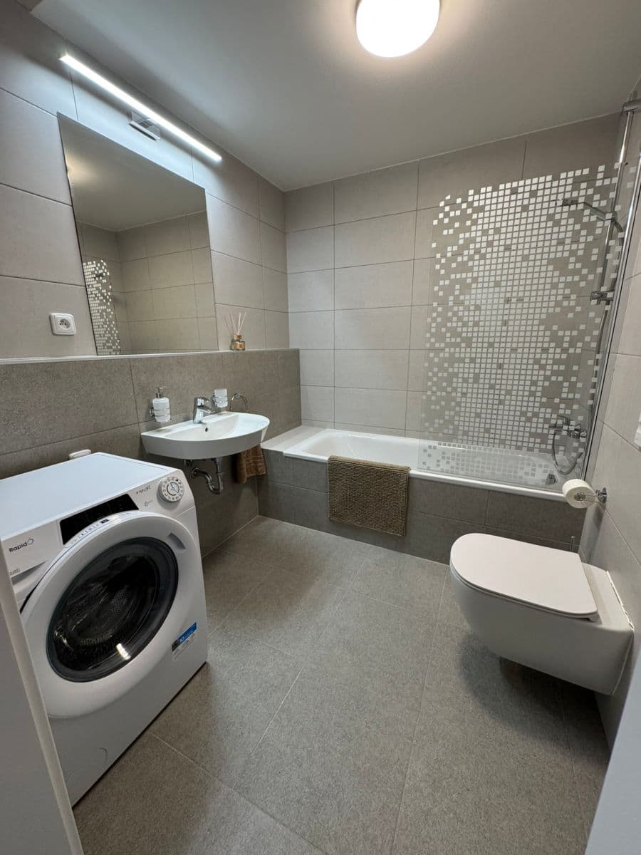 1 bedroom with open-plan kitchen flat to rent, 55 m², Prague, Prague 1 bedroom with open-plan kitchen flat to rent, 55 m², Prague, Prague