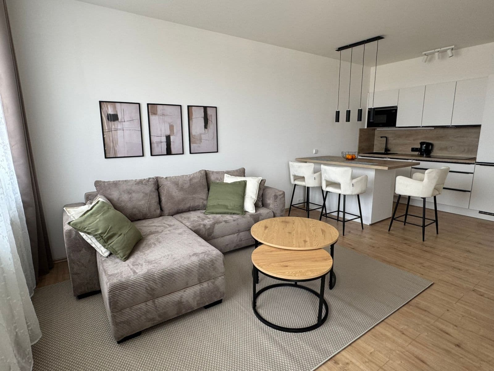 1 bedroom with open-plan kitchen flat to rent, 55 m², Prague, Prague 1 bedroom with open-plan kitchen flat to rent, 55 m², Prague, Prague