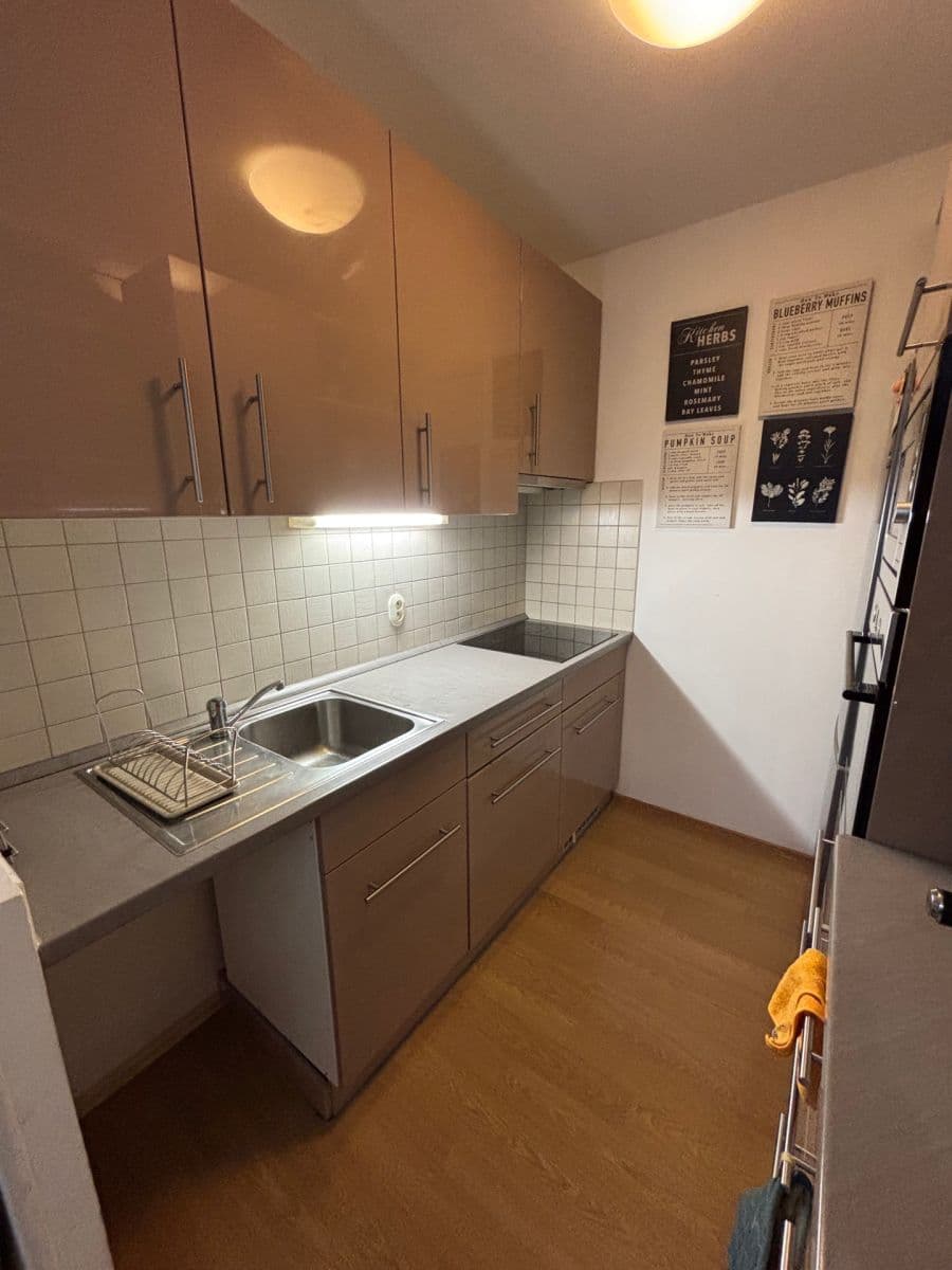 1 bedroom with open-plan kitchen flat to rent, 43 m², Kettnerova, Prague, Prague 1 bedroom with open-plan kitchen flat to rent, 43 m², Kettnerova, Prague, Prague