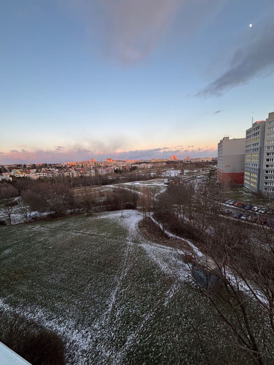 1 bedroom with open-plan kitchen flat to rent, 43 m², Kettnerova, Prague, Prague 1 bedroom with open-plan kitchen flat to rent, 43 m², Kettnerova, Prague, Prague