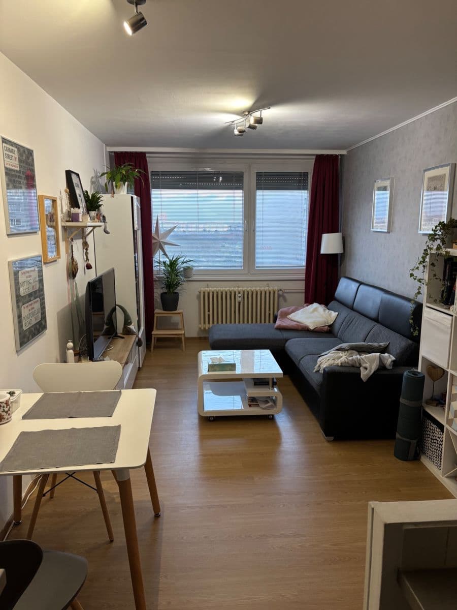 1 bedroom with open-plan kitchen flat to rent, 43 m², Kettnerova, Prague, Prague 1 bedroom with open-plan kitchen flat to rent, 43 m², Kettnerova, Prague, Prague