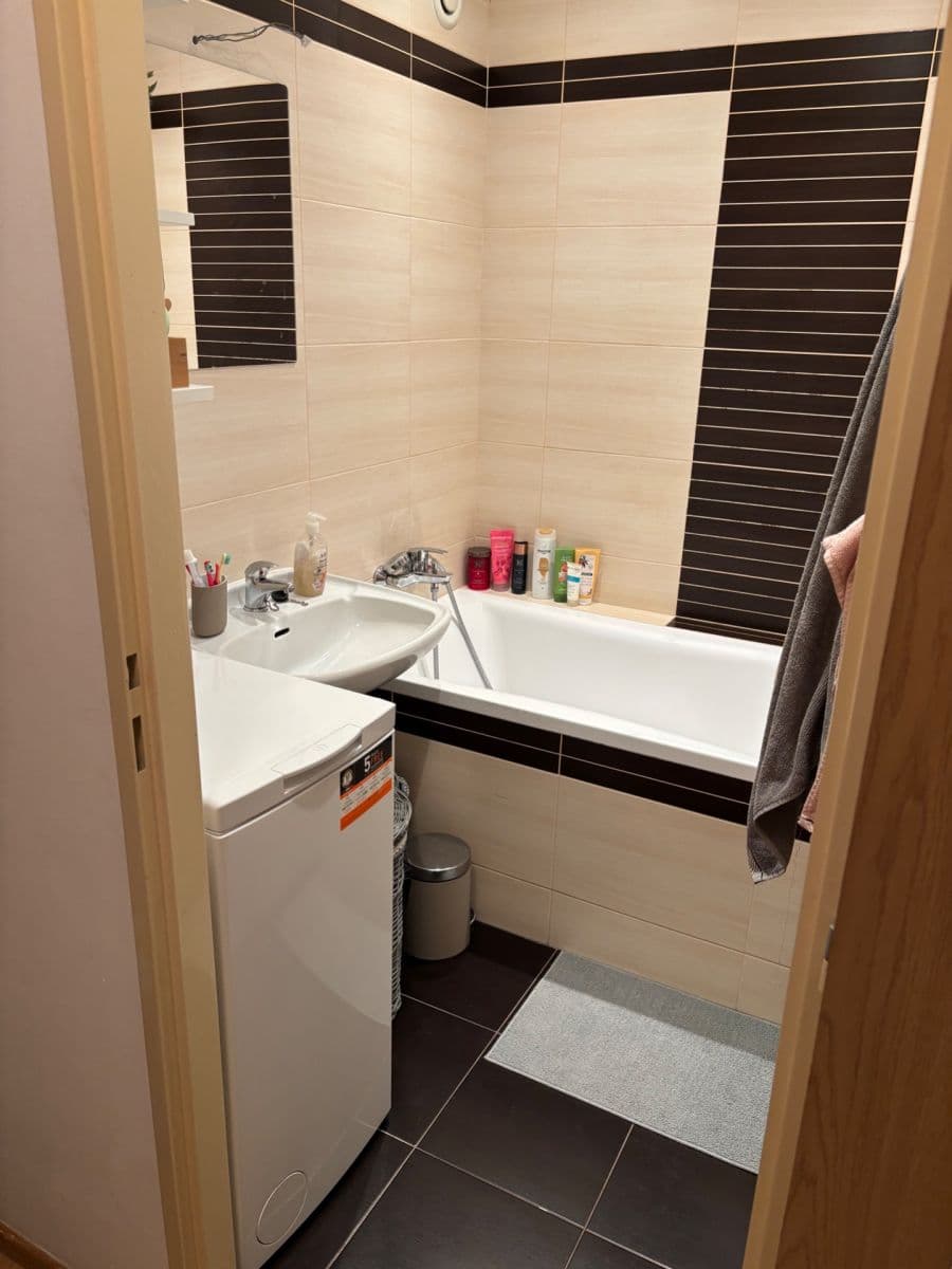 1 bedroom with open-plan kitchen flat to rent, 43 m², Kettnerova, Prague, Prague 1 bedroom with open-plan kitchen flat to rent, 43 m², Kettnerova, Prague, Prague