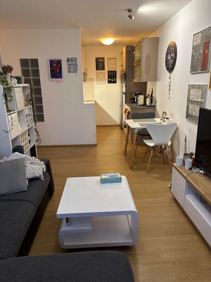 1 bedroom with open-plan kitchen flat to rent, 43 m², Kettnerova, Prague, Prague 1 bedroom with open-plan kitchen flat to rent, 43 m², Kettnerova, Prague, Prague