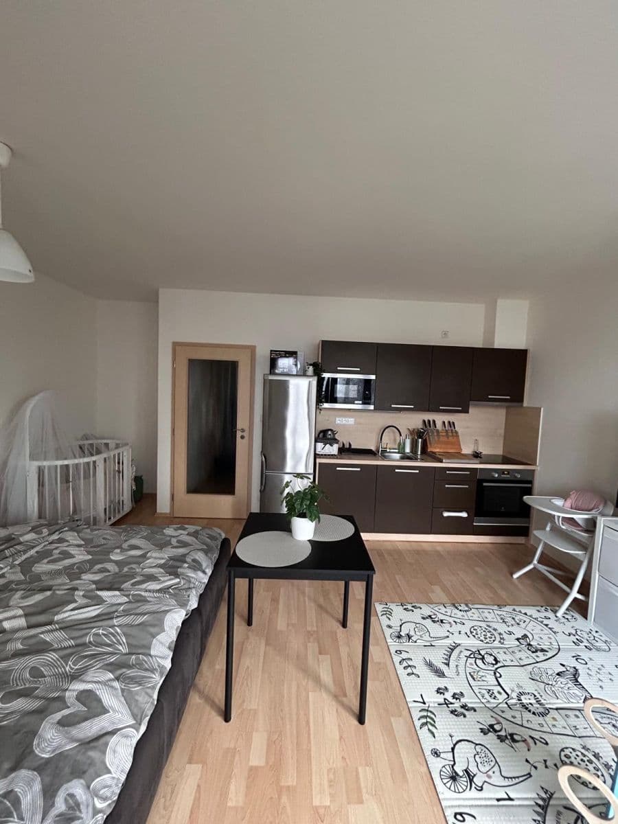 Studio flat to rent, 37 m², Hálův statek, Prague, Prague Studio flat to rent, 37 m², Hálův statek, Prague, Prague