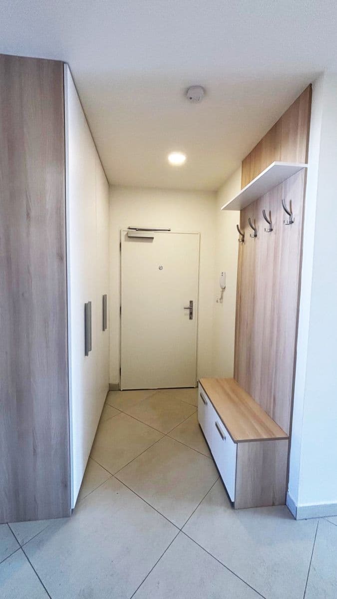 1 bedroom with open-plan kitchen flat to rent, 60 m², Petrohradská, Prague, Prague 1 bedroom with open-plan kitchen flat to rent, 60 m², Petrohradská, Prague, Prague