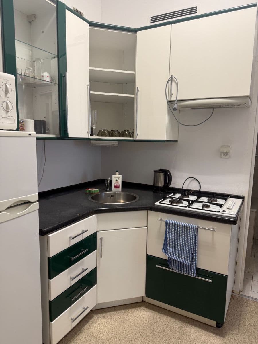 1 bedroom with open-plan kitchen flat to rent, 57 m², Vltavská, Prague, Prague 1 bedroom with open-plan kitchen flat to rent, 57 m², Vltavská, Prague, Prague