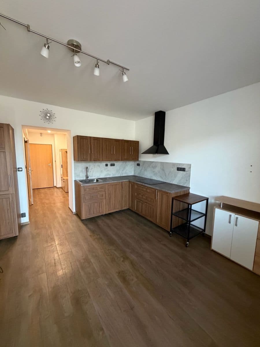 1 bedroom with open-plan kitchen flat to rent, 55 m², Sokolovská, Prague, Prague 1 bedroom with open-plan kitchen flat to rent, 55 m², Sokolovská, Prague, Prague