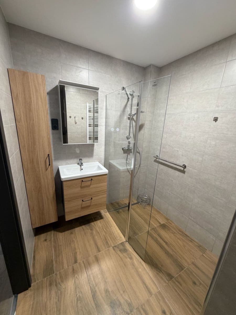 1 bedroom with open-plan kitchen flat to rent, 55 m², Sokolovská, Prague, Prague 1 bedroom with open-plan kitchen flat to rent, 55 m², Sokolovská, Prague, Prague