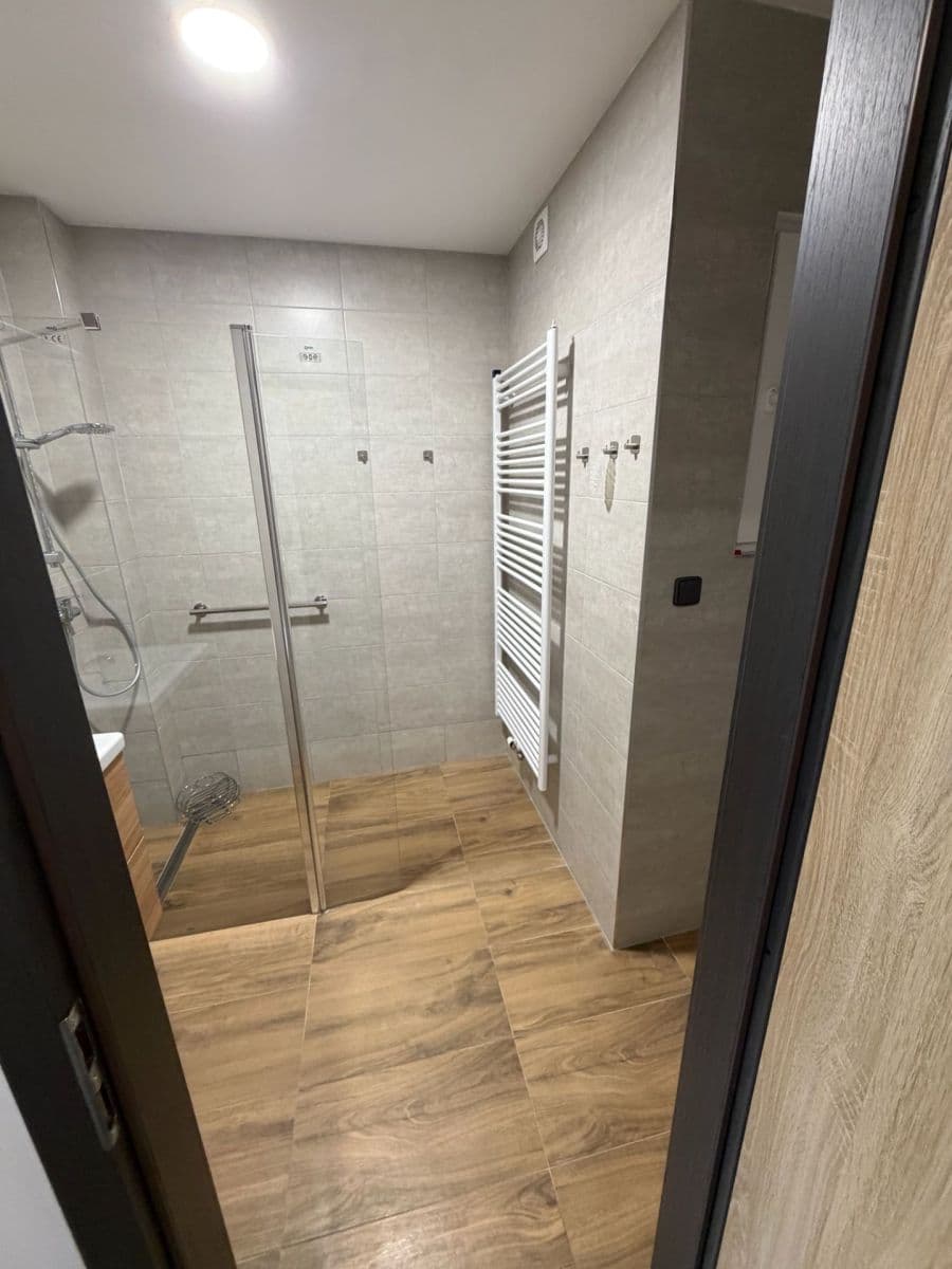 1 bedroom with open-plan kitchen flat to rent, 55 m², Sokolovská, Prague, Prague 1 bedroom with open-plan kitchen flat to rent, 55 m², Sokolovská, Prague, Prague