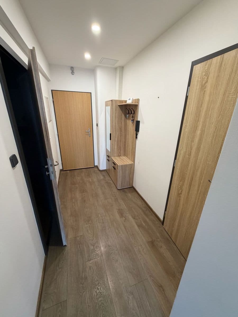 1 bedroom with open-plan kitchen flat to rent, 55 m², Sokolovská, Prague, Prague 1 bedroom with open-plan kitchen flat to rent, 55 m², Sokolovská, Prague, Prague