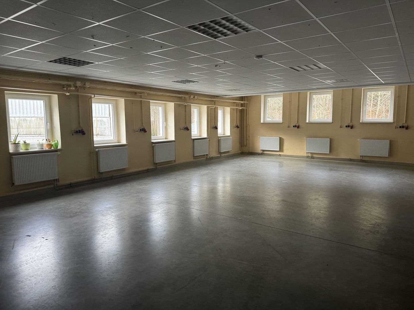 non-residential property to rent, 9,700 m², Großrückerswalde, Saxony non-residential property to rent, 9,700 m², Großrückerswalde, Saxony