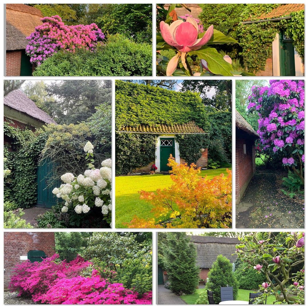 house for sale, 350 m², Hagen im Bremischen, Lower Saxony house for sale, 350 m², Hagen im Bremischen, Lower Saxony