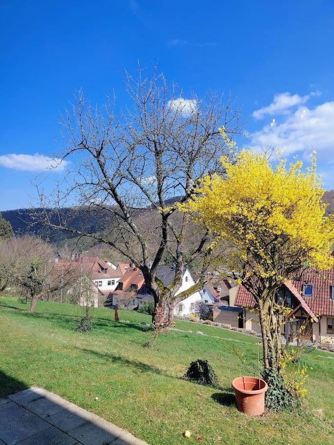 3 bedroom flat to rent, 83 m², Mömbris, Bavaria 3 bedroom flat to rent, 83 m², Mömbris, Bavaria