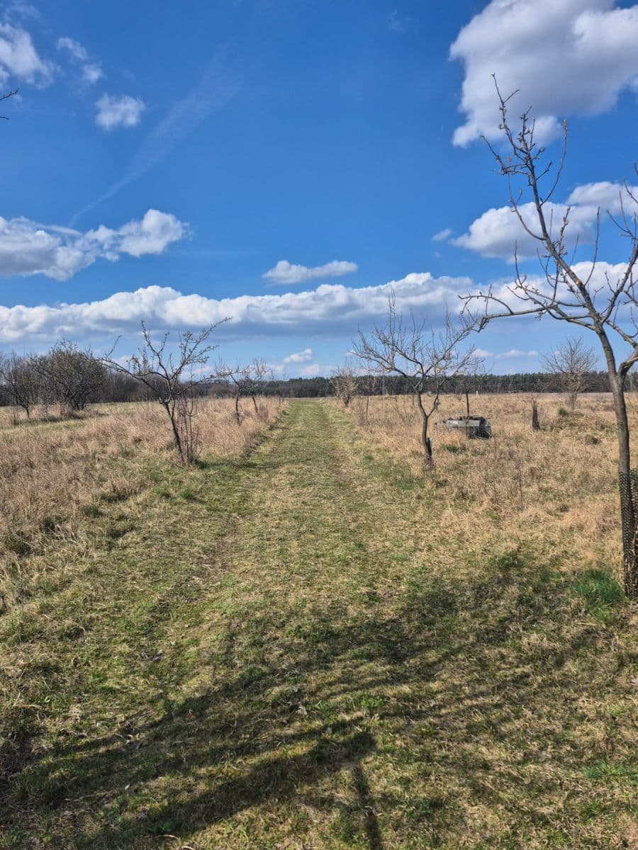 plot for sale, 2,950 m², Rohatec, Jihomoravský Region plot for sale, 2,950 m², Rohatec, Jihomoravský Region