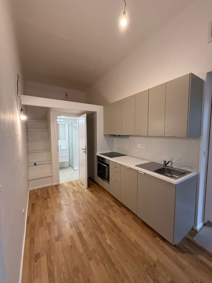 1 bedroom with open-plan kitchen flat to rent, 40 m², Veverkova, Prague, Prague 1 bedroom with open-plan kitchen flat to rent, 40 m², Veverkova, Prague, Prague