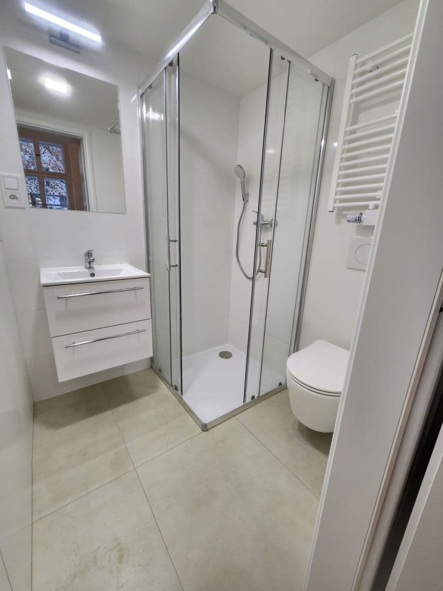 1 bedroom with open-plan kitchen flat to rent, 40 m², Veverkova, Prague, Prague 1 bedroom with open-plan kitchen flat to rent, 40 m², Veverkova, Prague, Prague