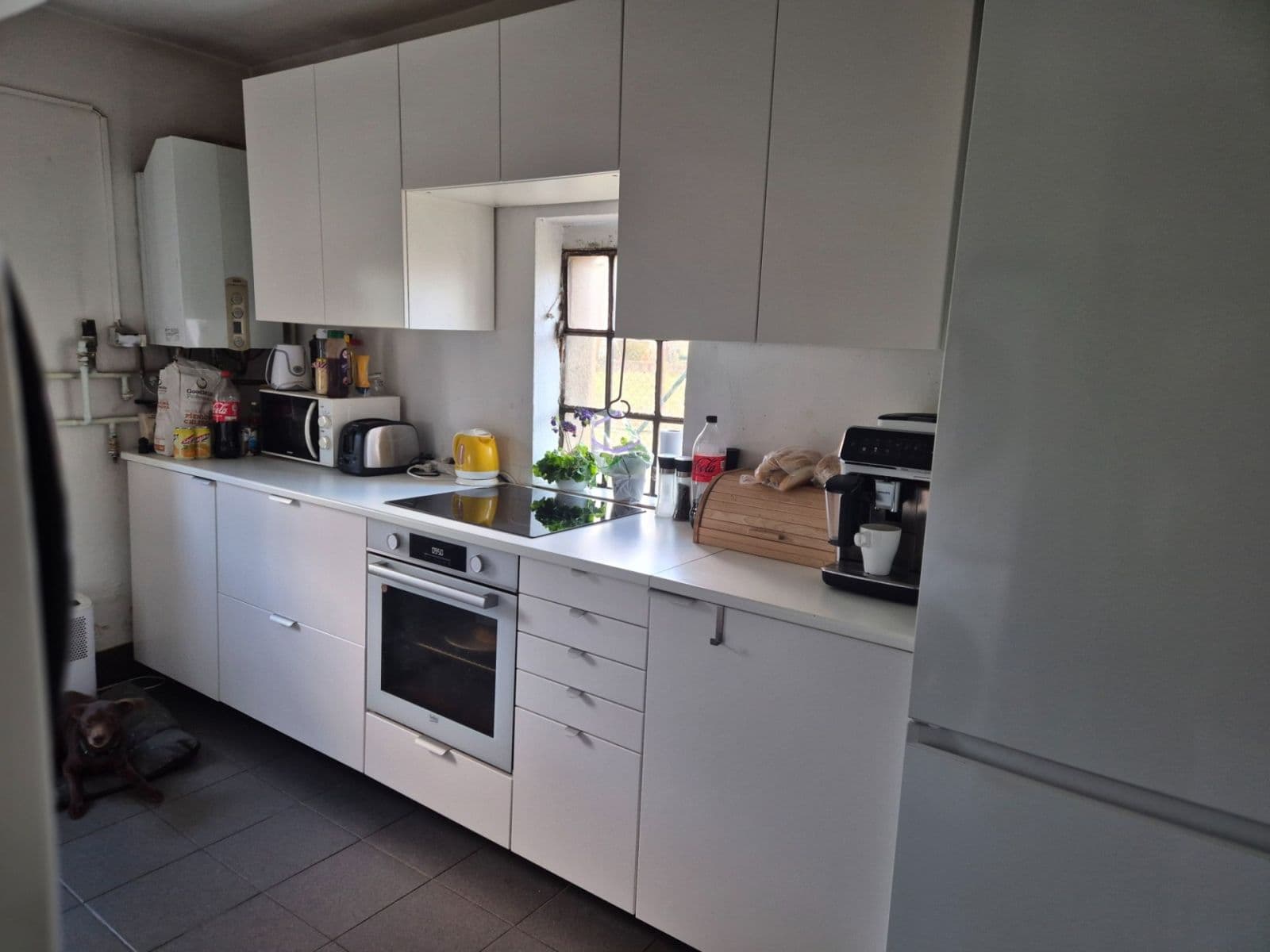 non-residential property to rent, 80 m², Na Koupaliště, Prague, Prague non-residential property to rent, 80 m², Na Koupaliště, Prague, Prague