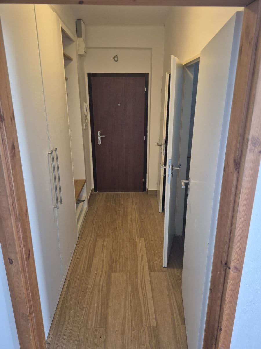1 bedroom with open-plan kitchen flat to rent, 55 m², Kafkova, Prague, Prague 1 bedroom with open-plan kitchen flat to rent, 55 m², Kafkova, Prague, Prague