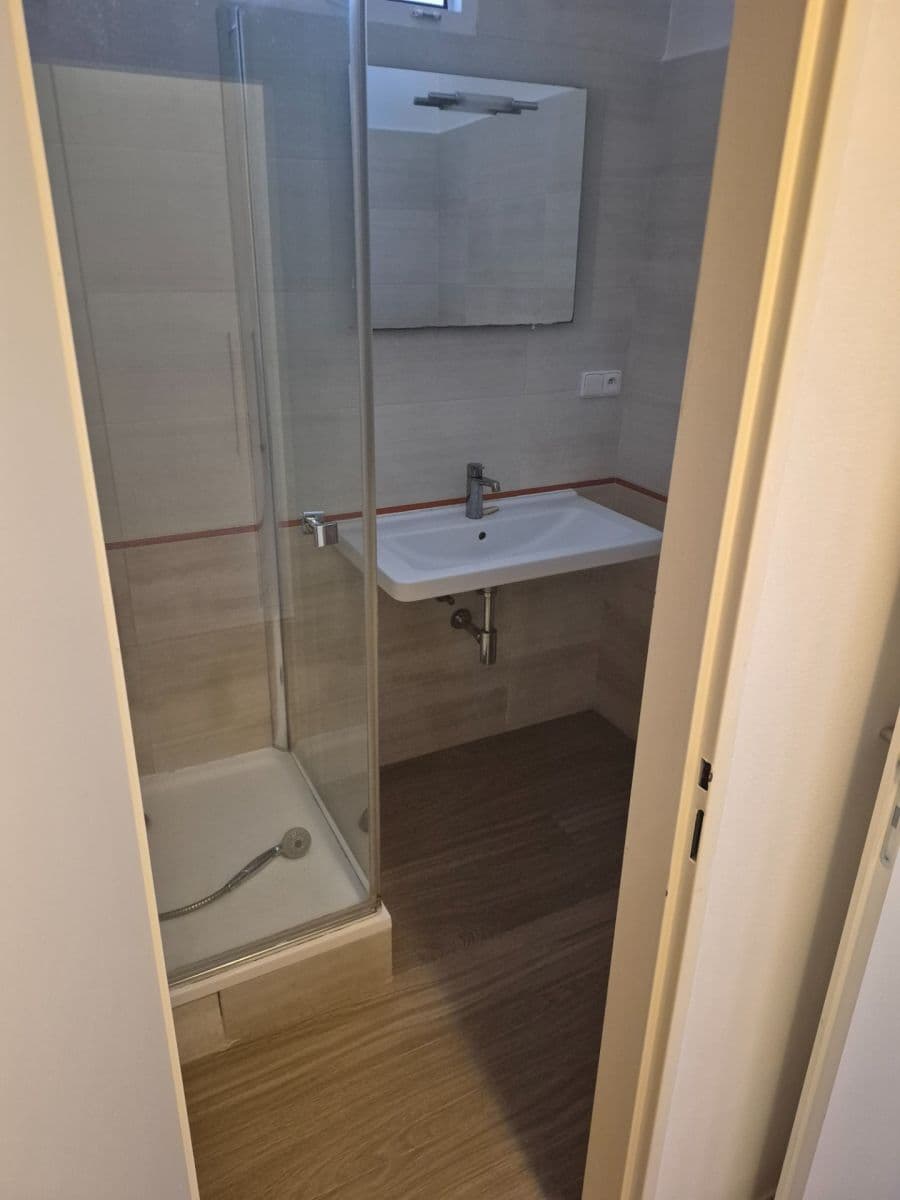 1 bedroom with open-plan kitchen flat to rent, 55 m², Kafkova, Prague, Prague 1 bedroom with open-plan kitchen flat to rent, 55 m², Kafkova, Prague, Prague