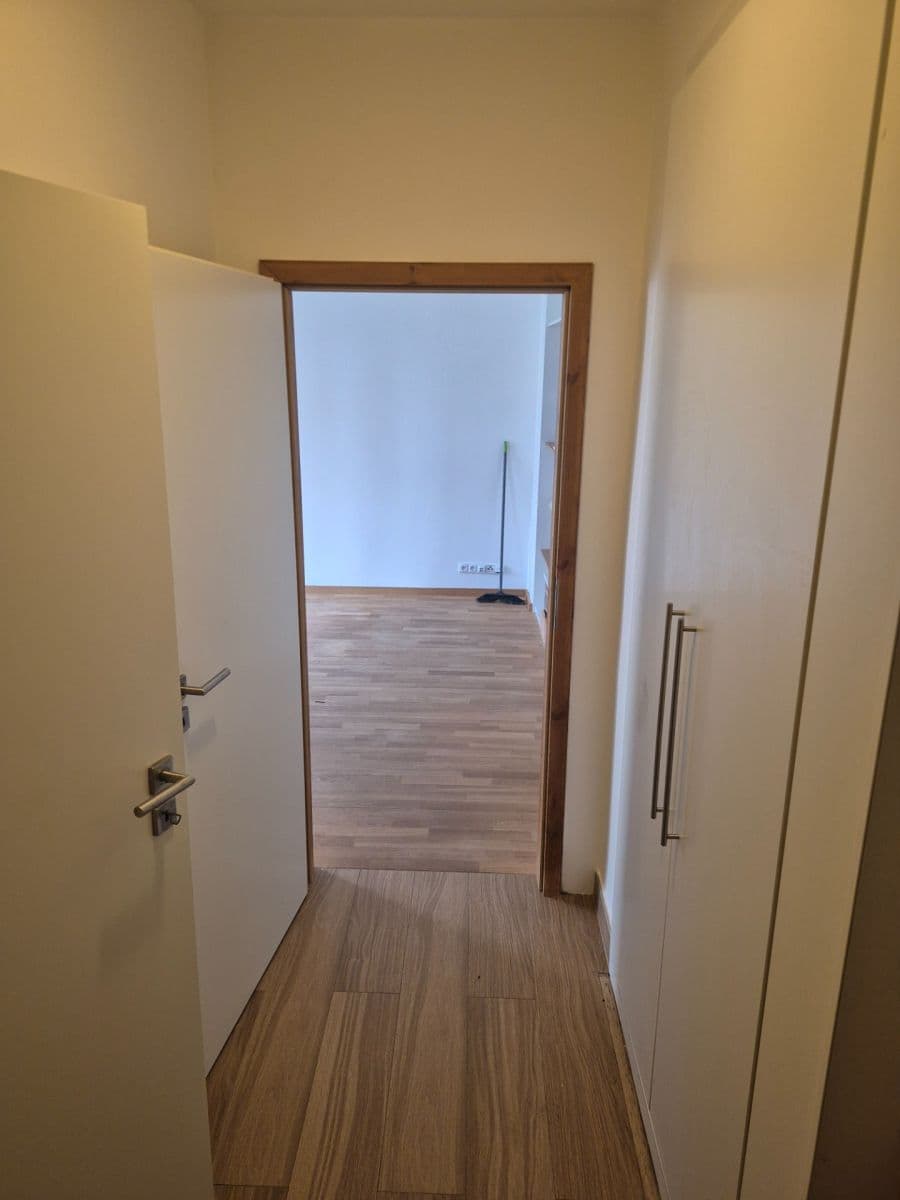 1 bedroom with open-plan kitchen flat to rent, 55 m², Kafkova, Prague, Prague 1 bedroom with open-plan kitchen flat to rent, 55 m², Kafkova, Prague, Prague