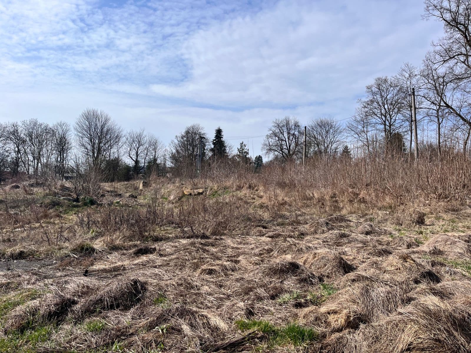 plot for sale, 11,196 m², Štědrá, Karlovarský Region plot for sale, 11,196 m², Štědrá, Karlovarský Region