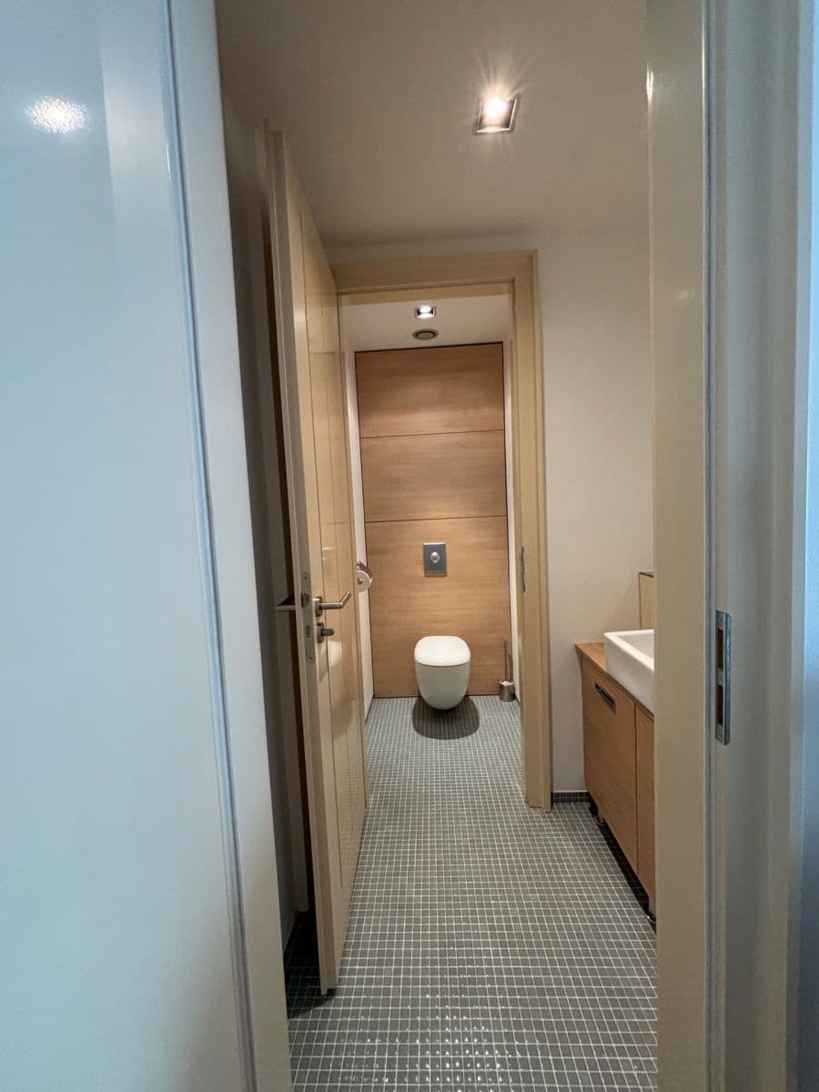 1 bedroom with open-plan kitchen flat to rent, 65 m², Rohanské nábřeží, Prague, Prague 1 bedroom with open-plan kitchen flat to rent, 65 m², Rohanské nábřeží, Prague, Prague