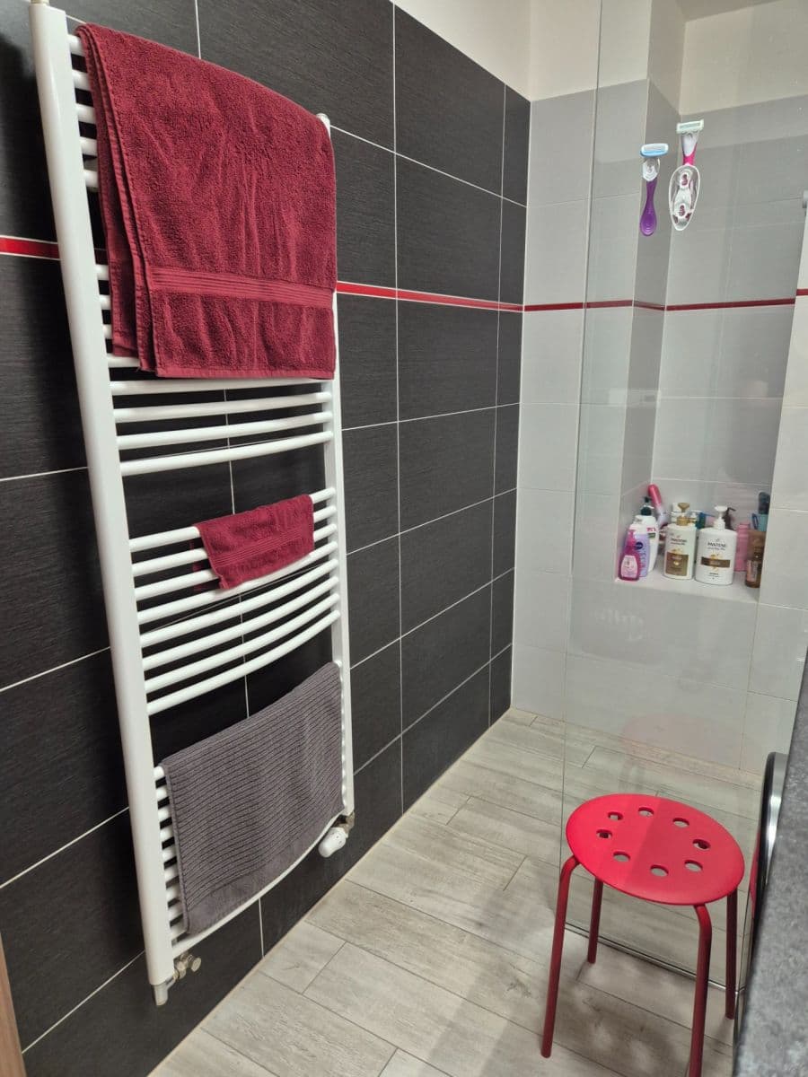 1 bedroom with open-plan kitchen flat for sale, 62 m², Sochorova, Brno, Jihomoravský Region 1 bedroom with open-plan kitchen flat for sale, 62 m², Sochorova, Brno, Jihomoravský Region