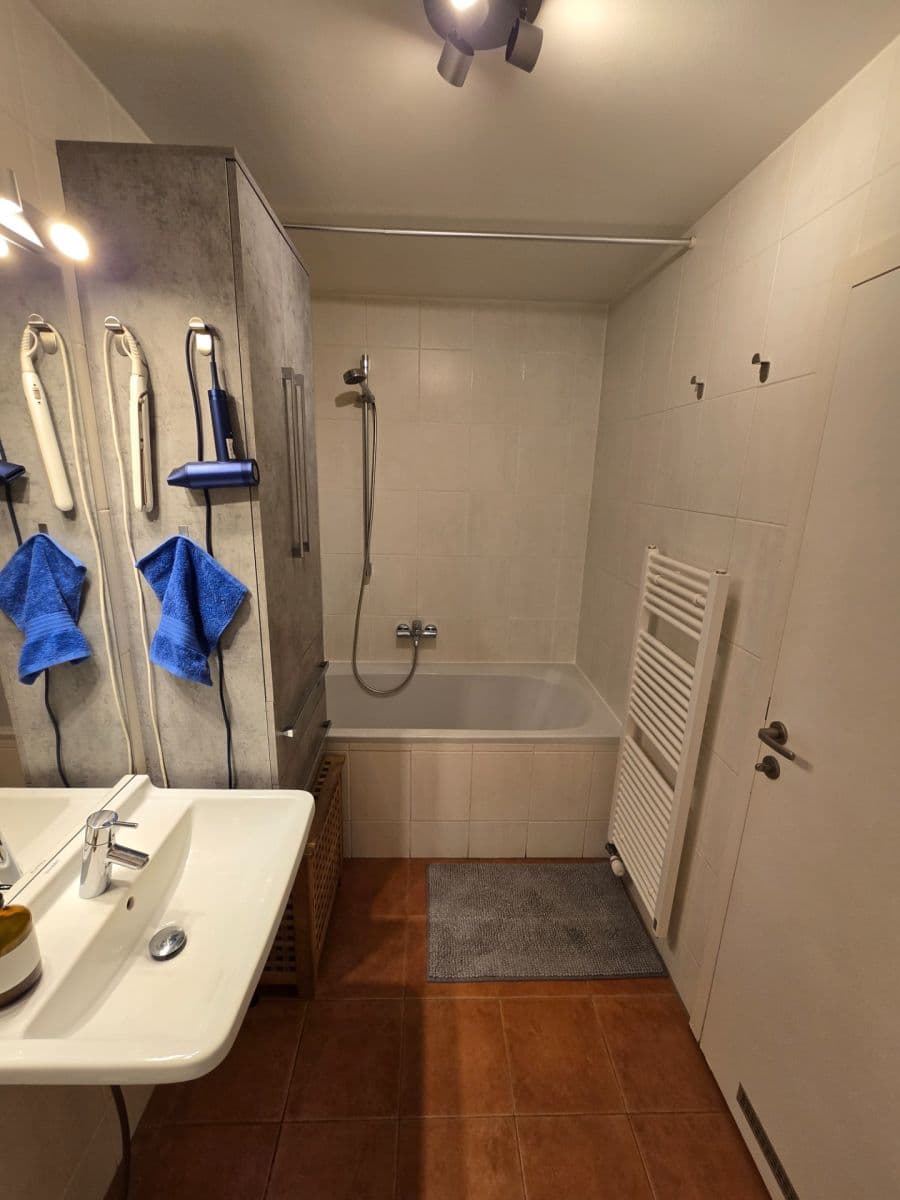 1 bedroom with open-plan kitchen flat to rent, 60 m², Spinozova, Prague, Prague 1 bedroom with open-plan kitchen flat to rent, 60 m², Spinozova, Prague, Prague