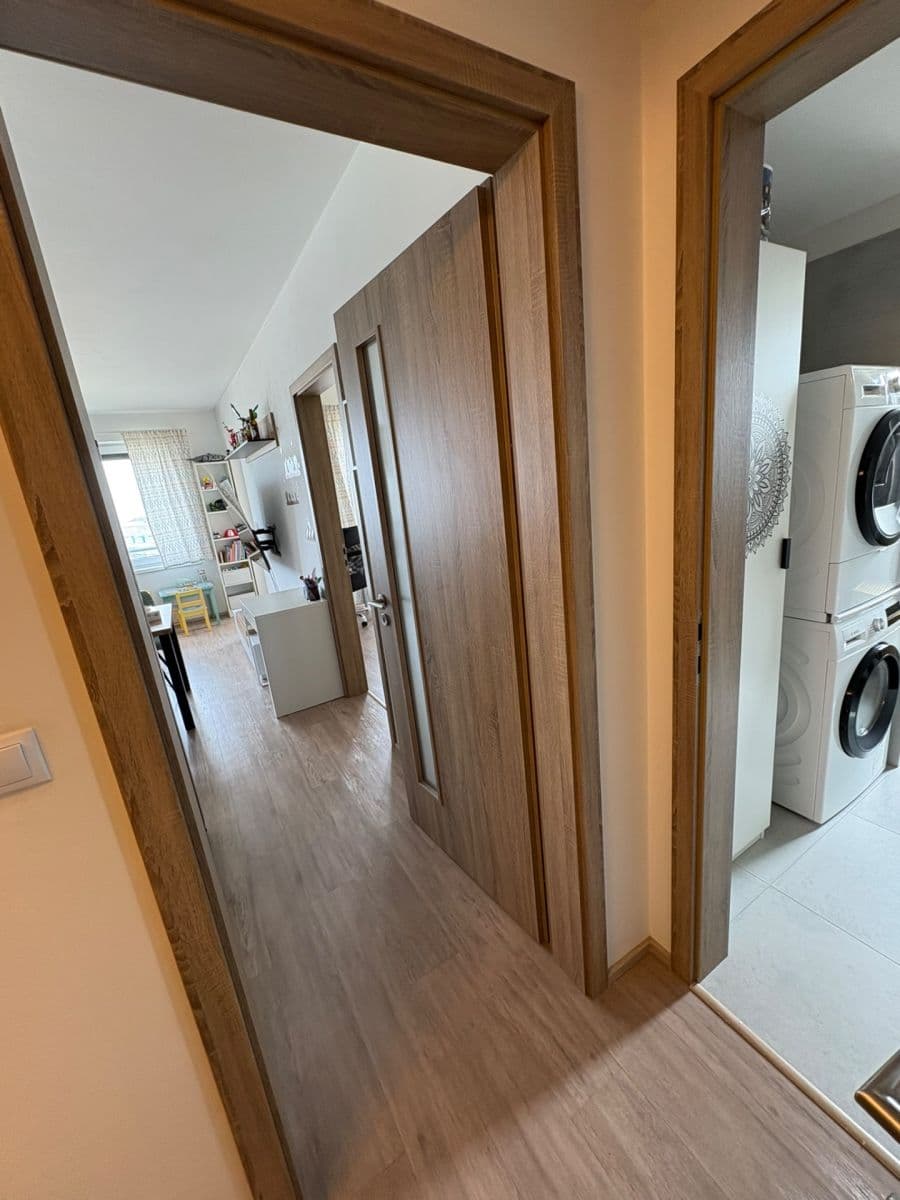 1 bedroom with open-plan kitchen flat to rent, 50 m², U Radosti, Prague, Prague 1 bedroom with open-plan kitchen flat to rent, 50 m², U Radosti, Prague, Prague