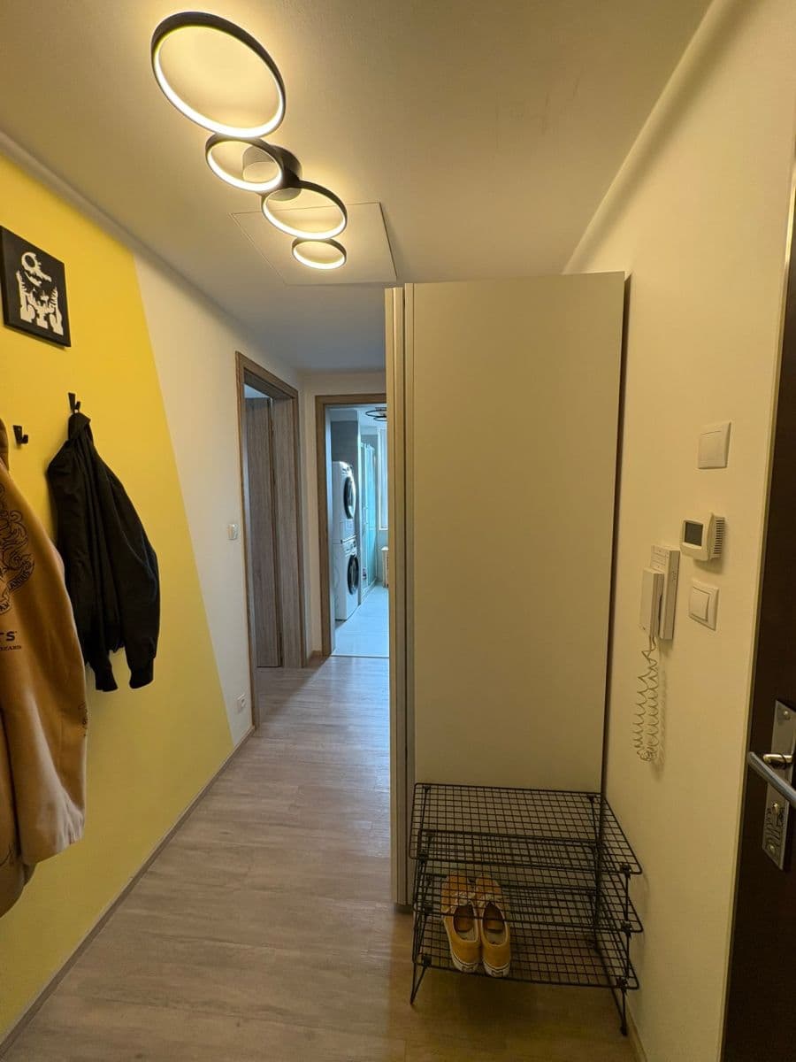 1 bedroom with open-plan kitchen flat to rent, 50 m², U Radosti, Prague, Prague 1 bedroom with open-plan kitchen flat to rent, 50 m², U Radosti, Prague, Prague