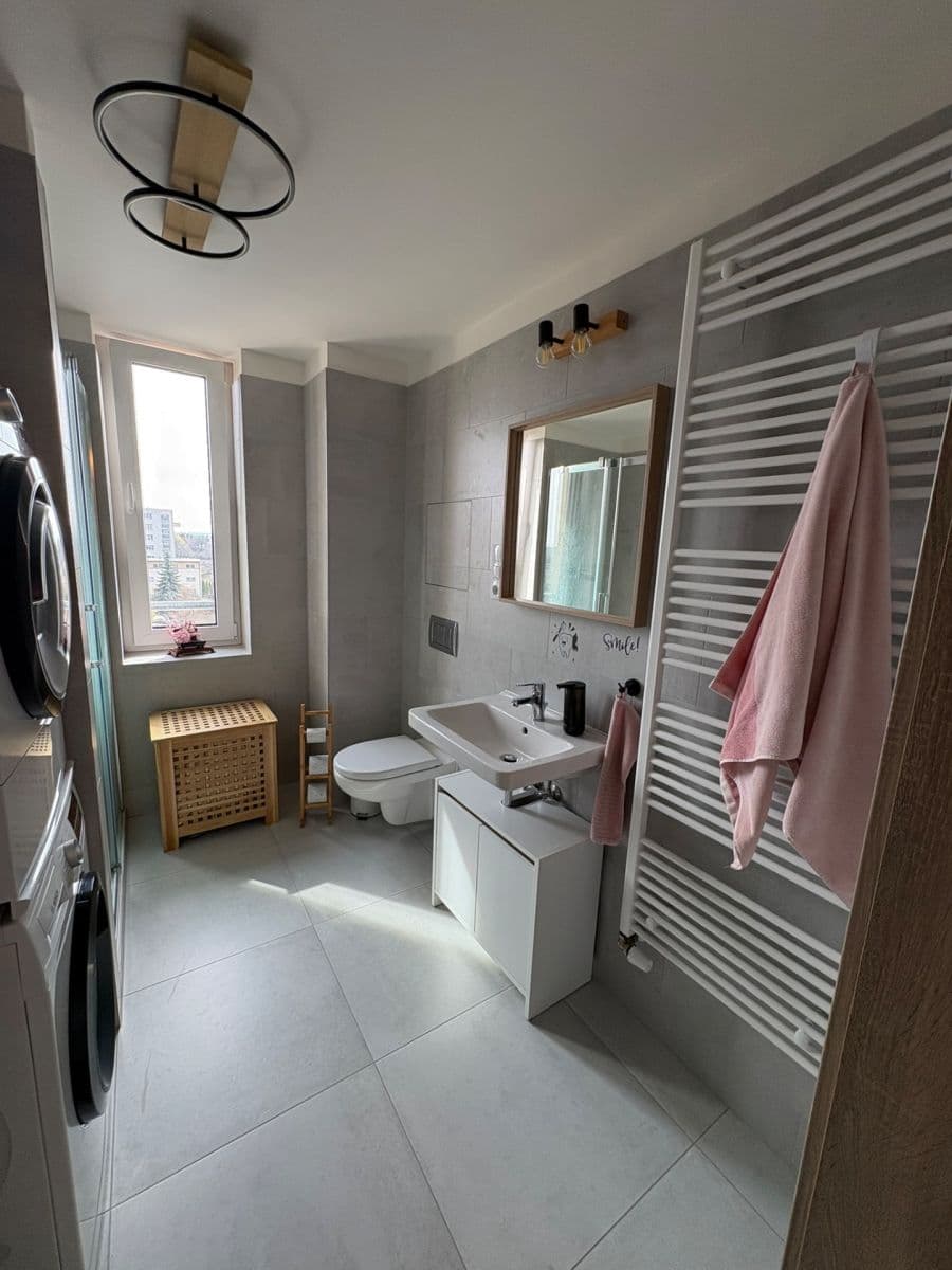 1 bedroom with open-plan kitchen flat to rent, 50 m², U Radosti, Prague, Prague 1 bedroom with open-plan kitchen flat to rent, 50 m², U Radosti, Prague, Prague