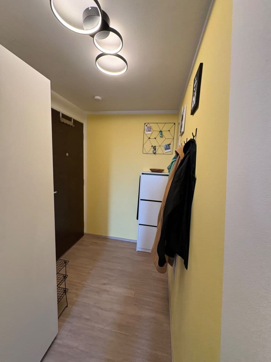 1 bedroom with open-plan kitchen flat to rent, 50 m², U Radosti, Prague, Prague 1 bedroom with open-plan kitchen flat to rent, 50 m², U Radosti, Prague, Prague