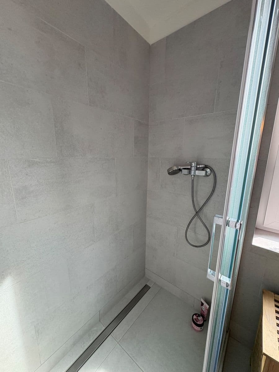 1 bedroom with open-plan kitchen flat to rent, 50 m², U Radosti, Prague, Prague 1 bedroom with open-plan kitchen flat to rent, 50 m², U Radosti, Prague, Prague