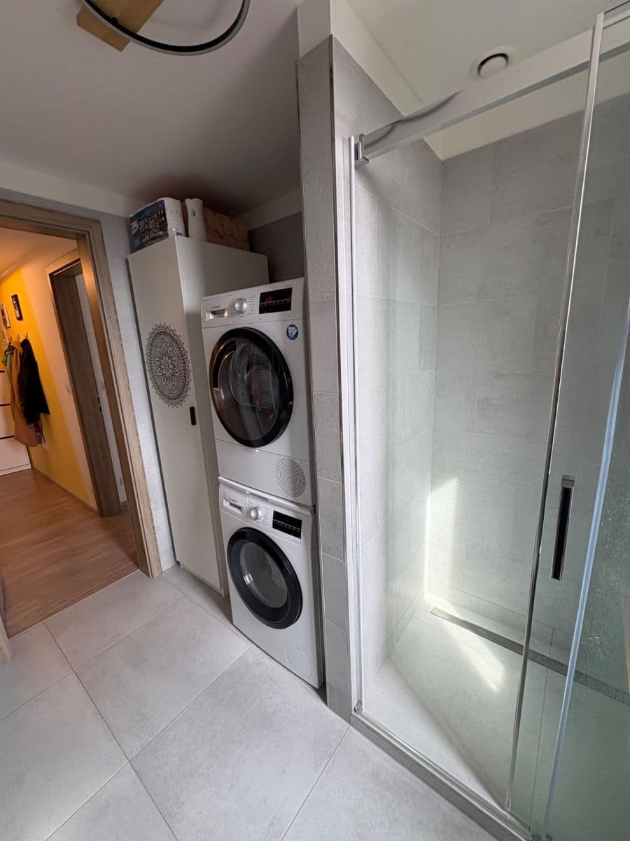 1 bedroom with open-plan kitchen flat to rent, 50 m², U Radosti, Prague, Prague 1 bedroom with open-plan kitchen flat to rent, 50 m², U Radosti, Prague, Prague