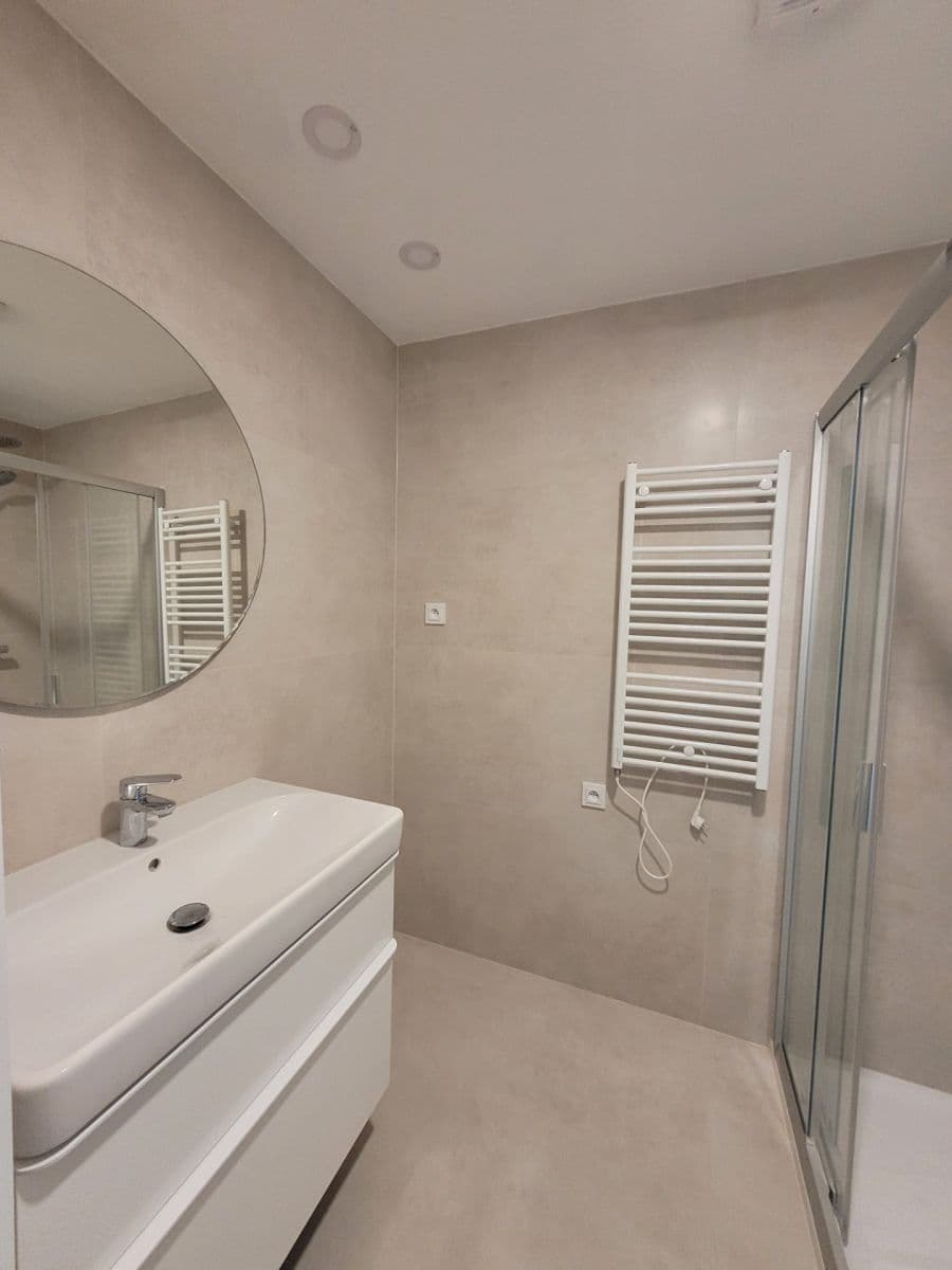 1 bedroom with open-plan kitchen flat to rent, 55 m², Komornická, Prague, Prague 1 bedroom with open-plan kitchen flat to rent, 55 m², Komornická, Prague, Prague