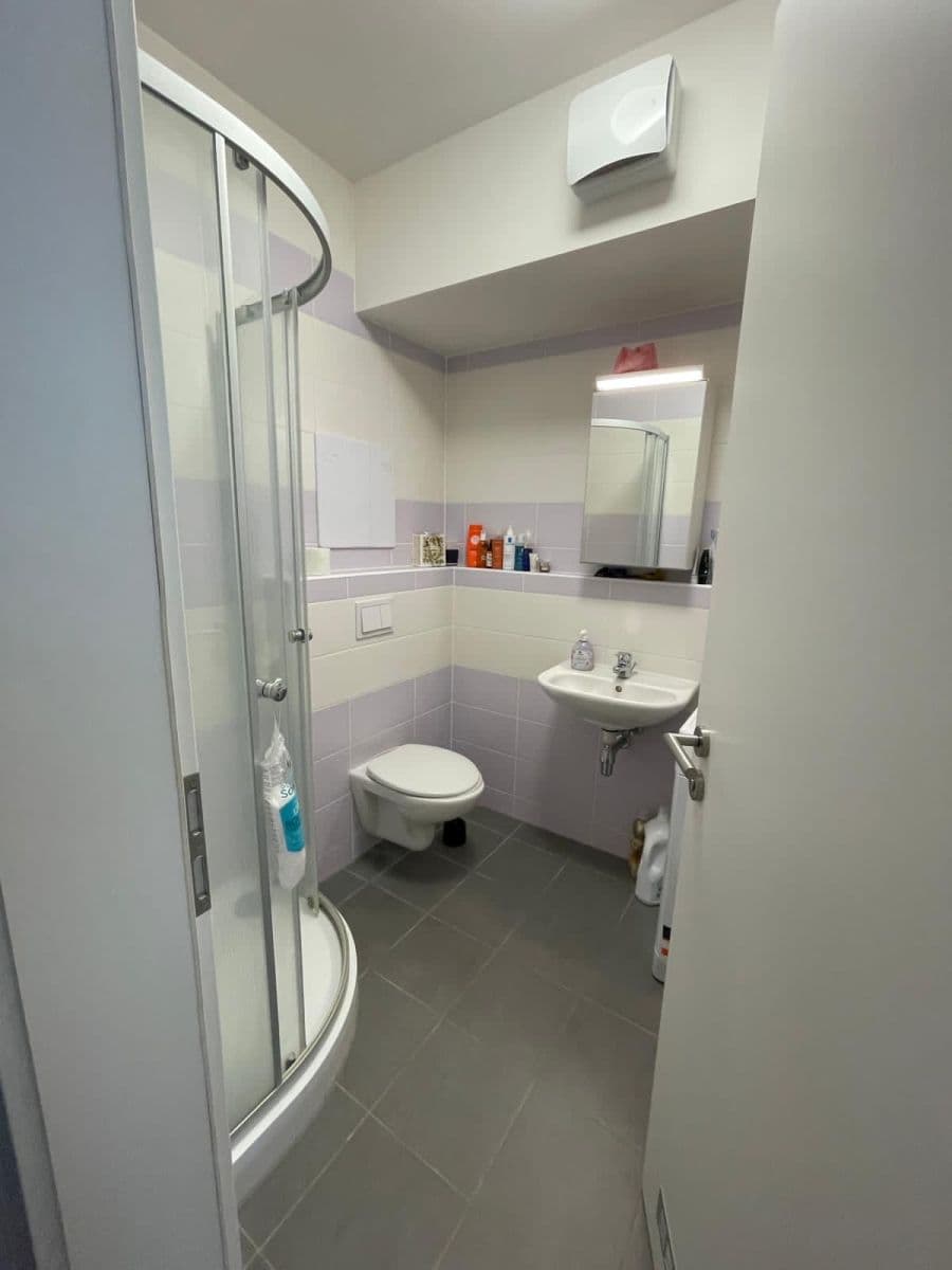 Studio flat to rent, 37 m², Olgy Havlové, Prague, Prague Studio flat to rent, 37 m², Olgy Havlové, Prague, Prague