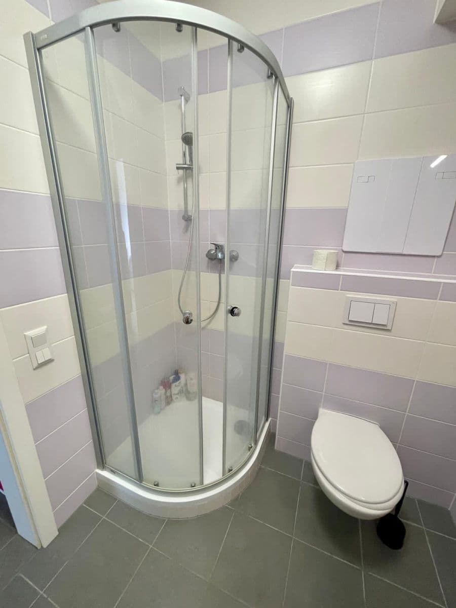 Studio flat to rent, 37 m², Olgy Havlové, Prague, Prague Studio flat to rent, 37 m², Olgy Havlové, Prague, Prague