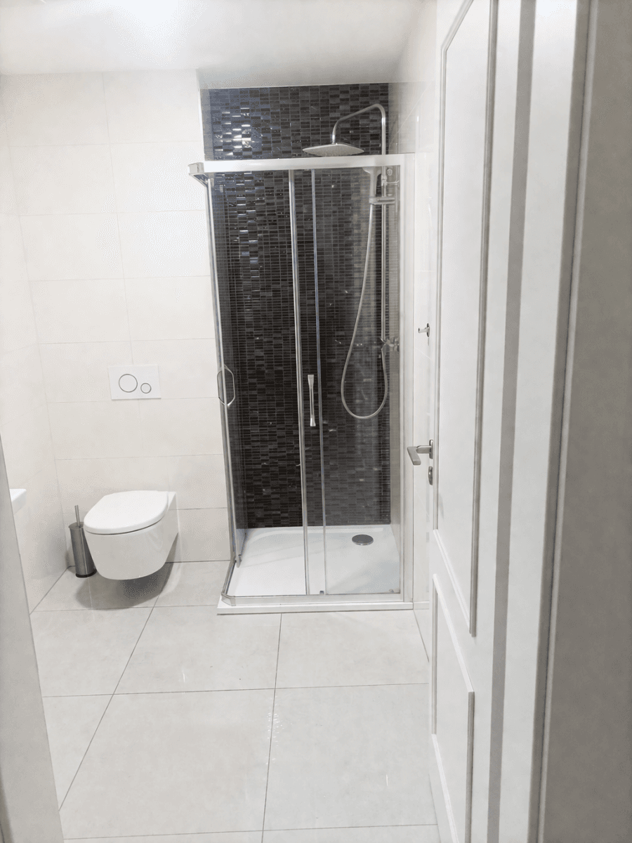 1 bedroom with open-plan kitchen flat to rent, 57 m², Varšavská, Prague, Prague 1 bedroom with open-plan kitchen flat to rent, 57 m², Varšavská, Prague, Prague