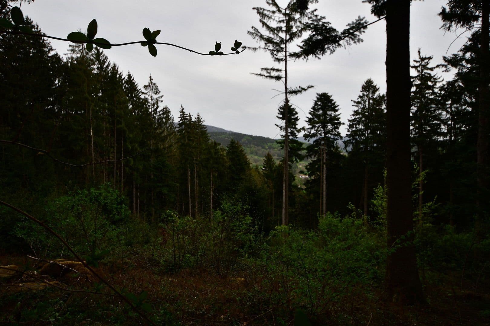 house for sale, 50 m², Bernried, Bavaria house for sale, 50 m², Bernried, Bavaria