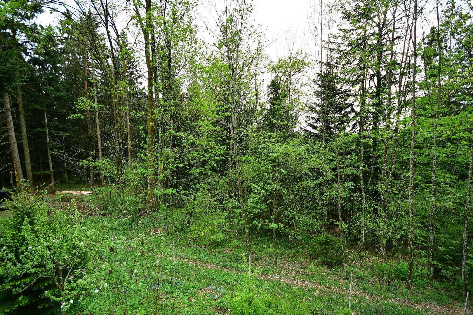 house for sale, 50 m², Bernried, Bavaria house for sale, 50 m², Bernried, Bavaria