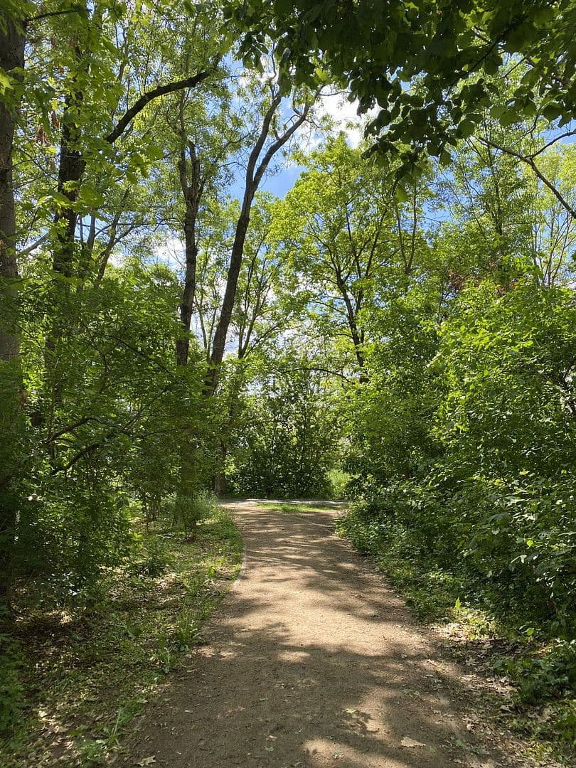 flat to rent, 15 m², Hattersheim am Main, Hesse flat to rent, 15 m², Hattersheim am Main, Hesse