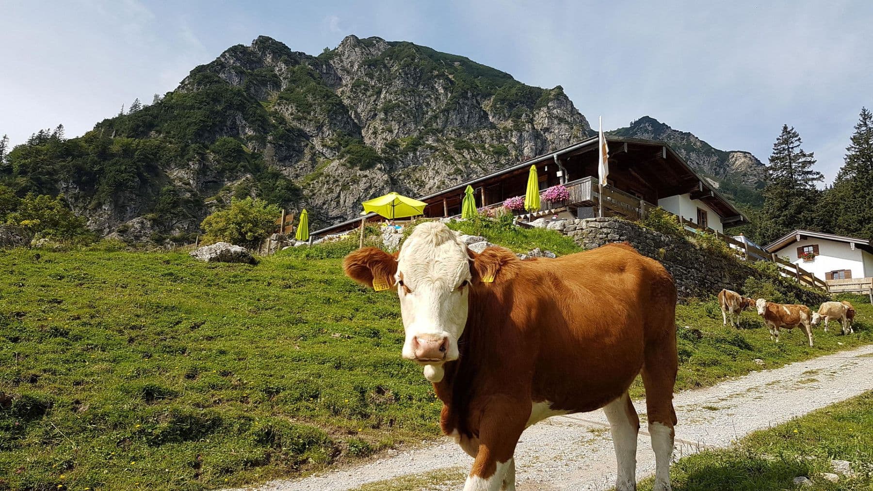 non-residential property for sale, 935 m², Wuhrstein 17, Schleching, Bavaria non-residential property for sale, 935 m², Wuhrstein 17, Schleching, Bavaria