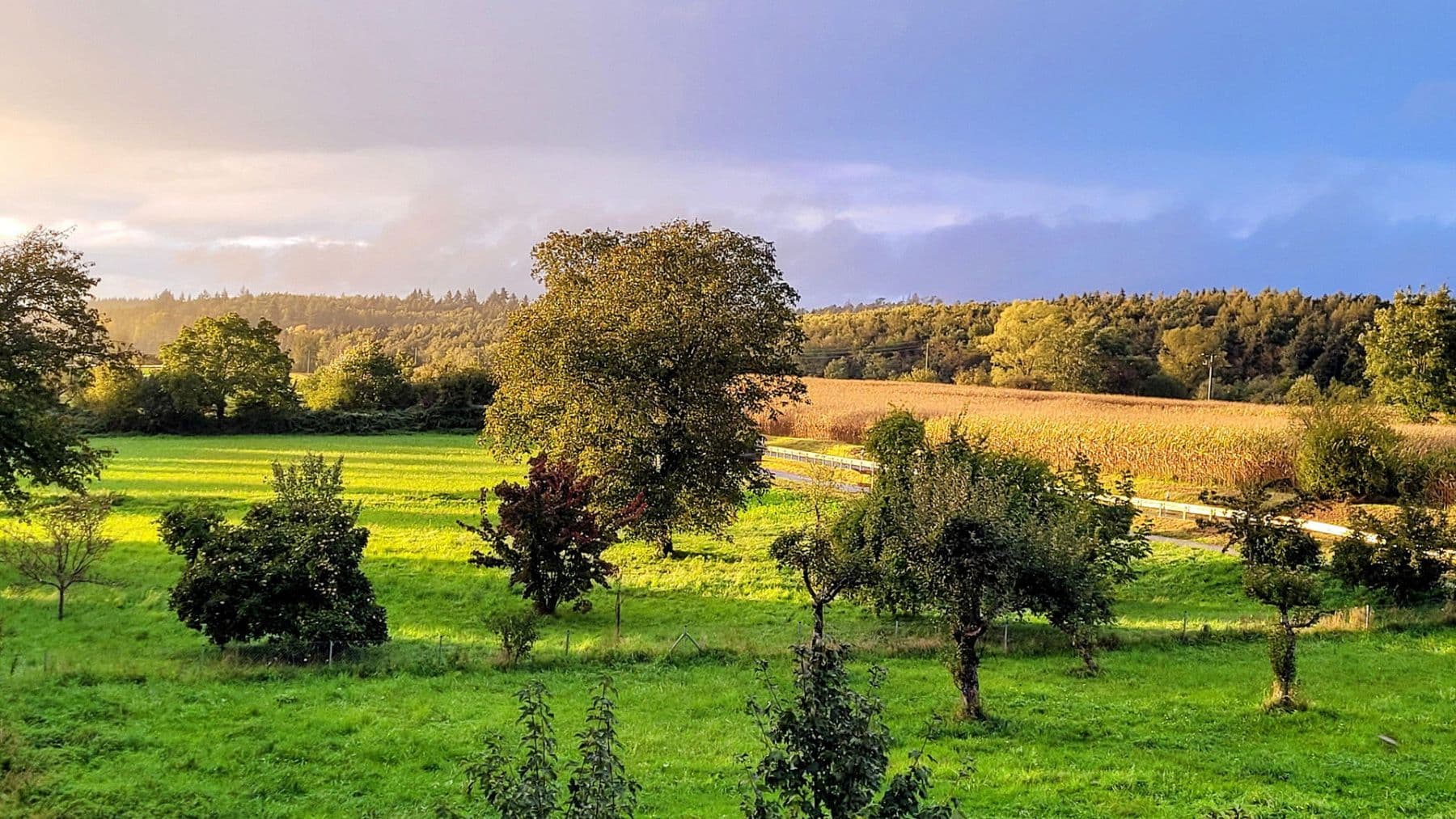 house for sale, 210 m², Allensbach, Baden-Württemberg house for sale, 210 m², Allensbach, Baden-Württemberg