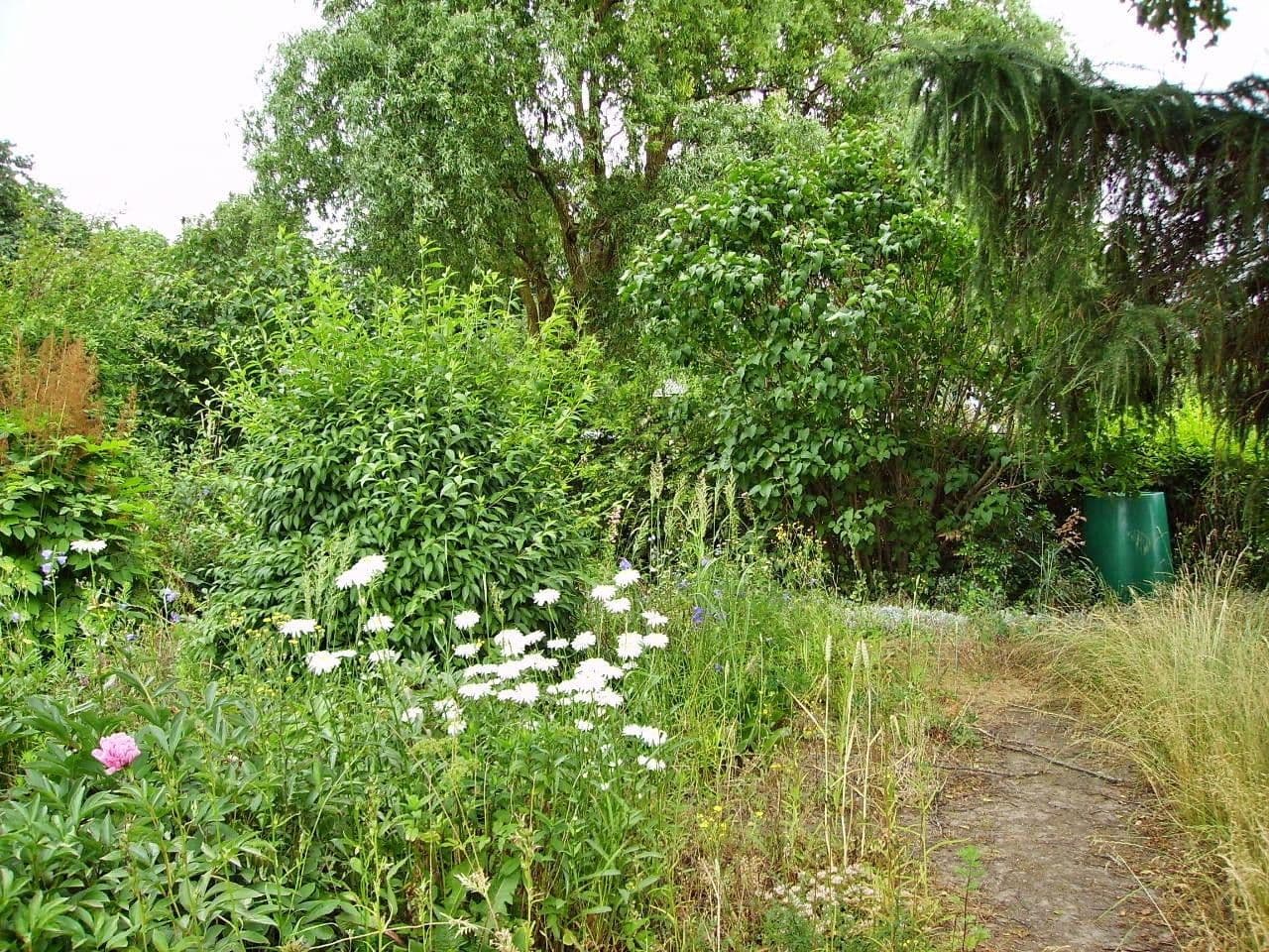 2 bedroom flat to rent, 58 m², Görke 32, Postlow, Mecklenburg-Vorpommern 2 bedroom flat to rent, 58 m², Görke 32, Postlow, Mecklenburg-Vorpommern