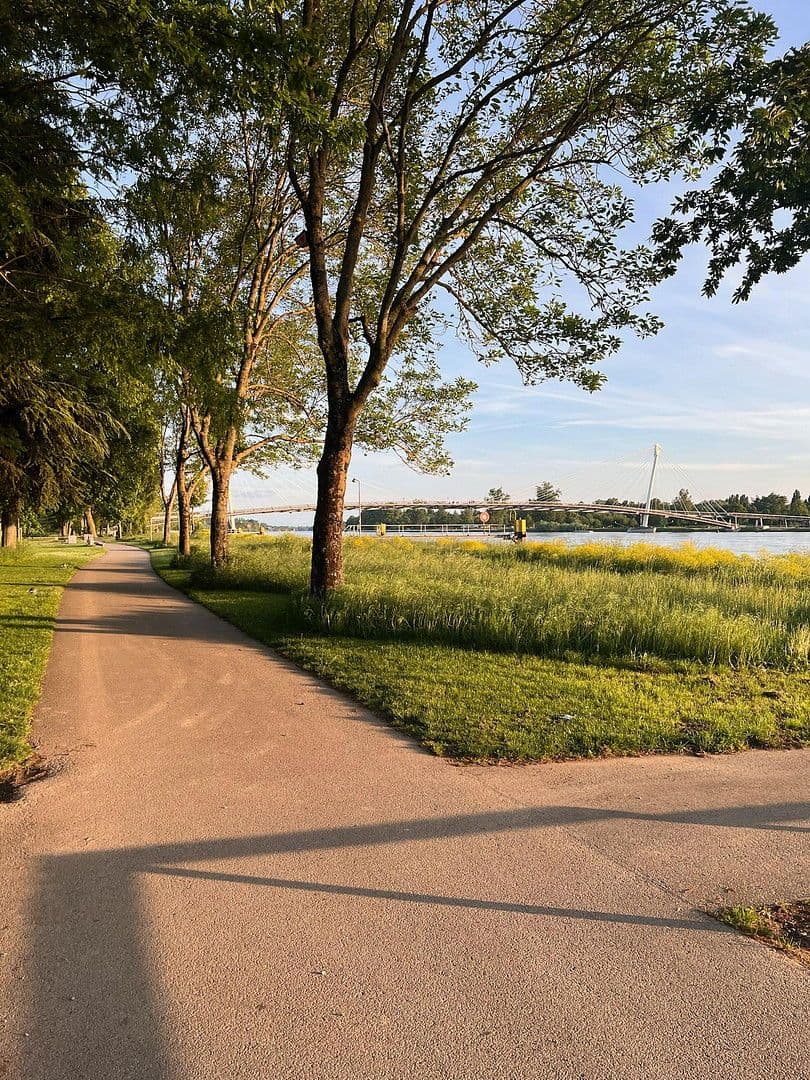 2 bedroom with open-plan kitchen flat for sale, 95 m², Friedenstraße 22, Kehl, Baden-Württemberg 2 bedroom with open-plan kitchen flat for sale, 95 m², Friedenstraße 22, Kehl, Baden-Württemberg