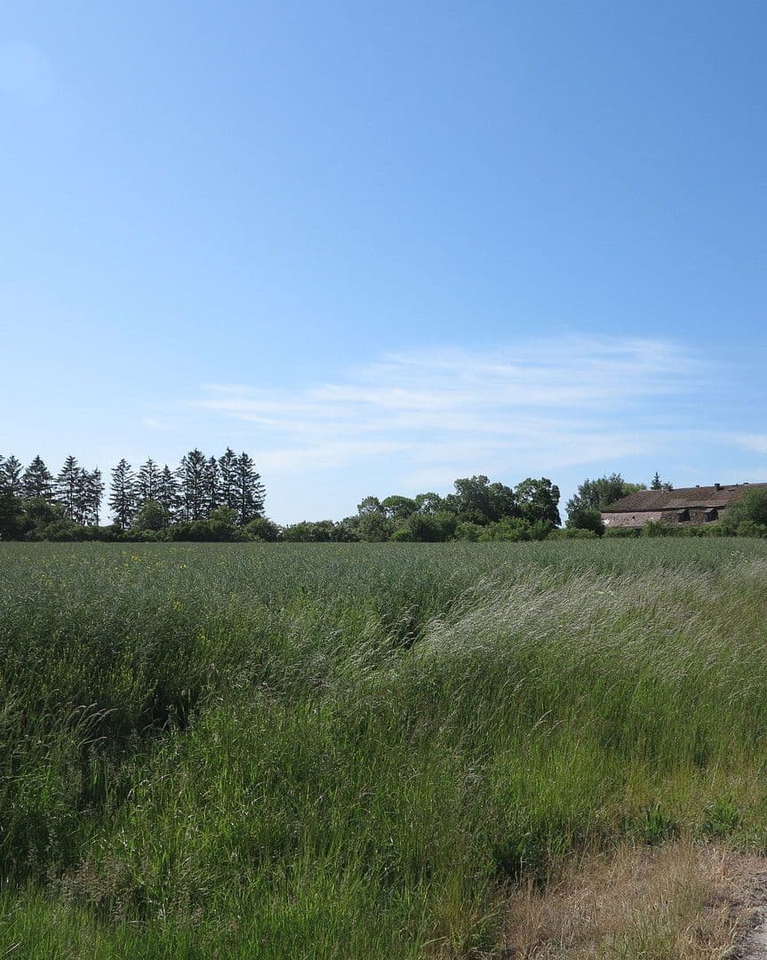 house for sale, 1,200 m², Ivenack, Mecklenburg-Vorpommern house for sale, 1,200 m², Ivenack, Mecklenburg-Vorpommern