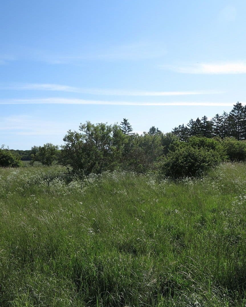 house for sale, 1,200 m², Ivenack, Mecklenburg-Vorpommern house for sale, 1,200 m², Ivenack, Mecklenburg-Vorpommern