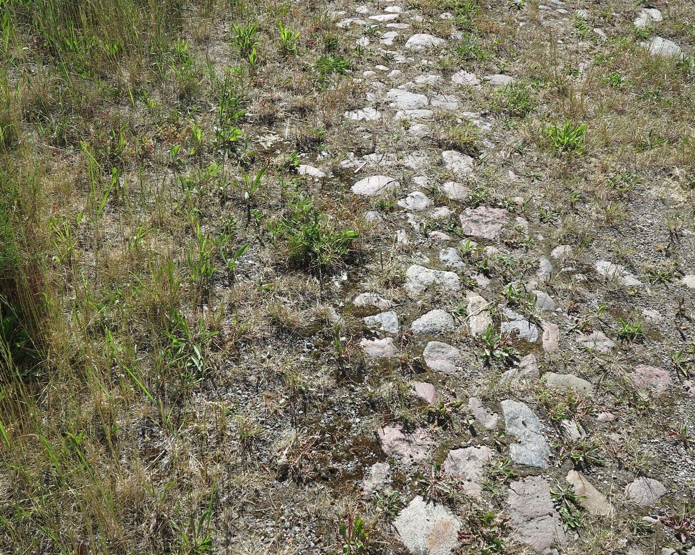 house for sale, 1,200 m², Ivenack, Mecklenburg-Vorpommern house for sale, 1,200 m², Ivenack, Mecklenburg-Vorpommern